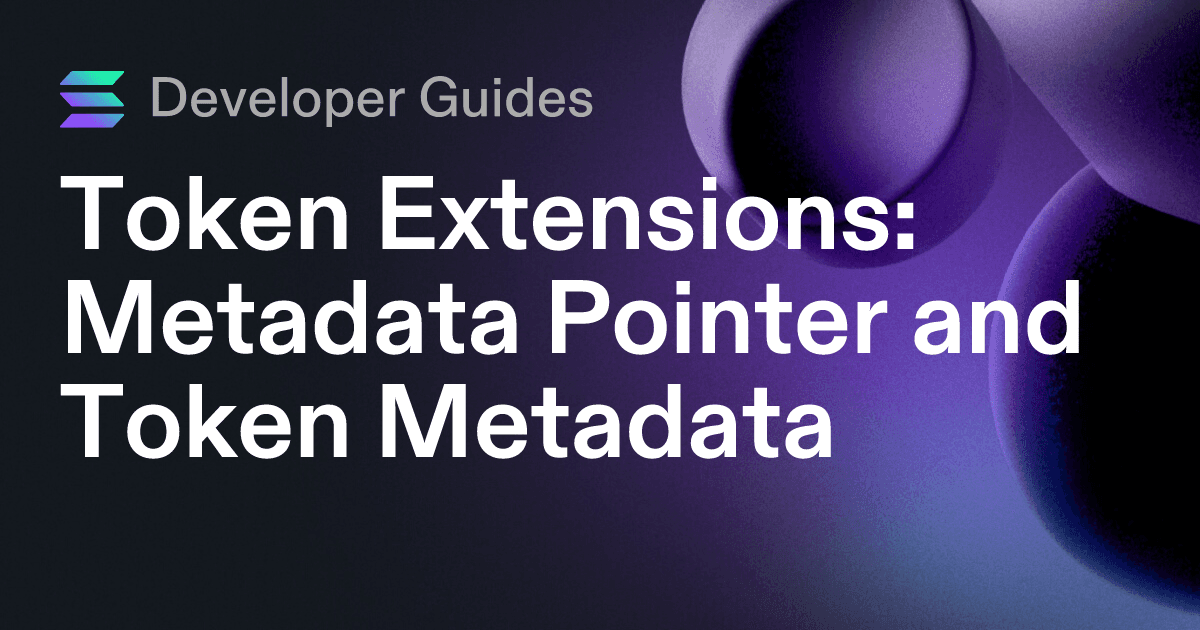 How to use the Metadata Pointer extension